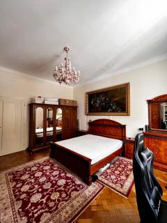 Elegant apartment near Schönbrunn - 1