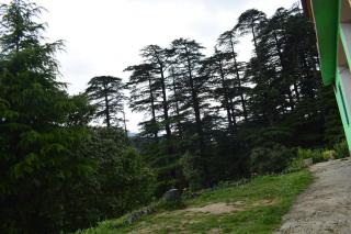 Green valley homestay - Khajjiar - 6