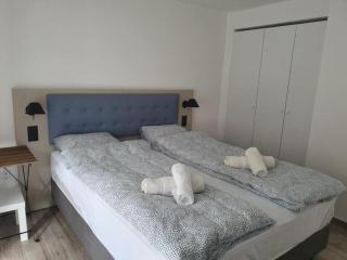 Vila Lela - Vrnjačka Banja - 2