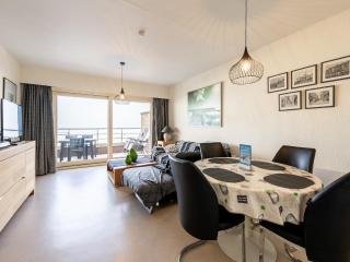 Seaview apartment with private terrace - Blankenberge - 0