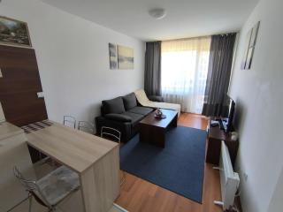 Belvedere Holiday Club Private Apartment - Bansko - 6