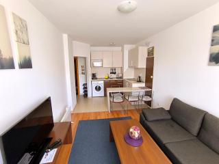 Belvedere Holiday Club Private Apartment - Bansko - 4