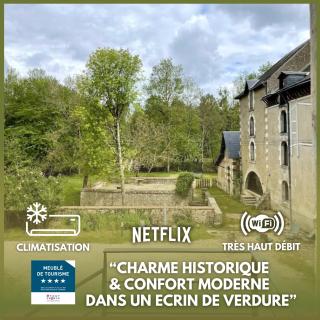 Gite du Meunier, Moulin de Vineuil, 4ch, 2sdb - Vineuil - 0