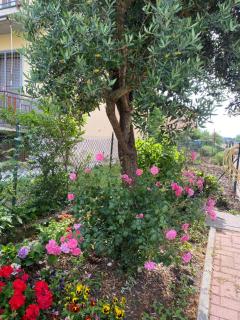 Appartamento confortevole a Caorso - Caorso - 9