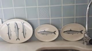 House of the Cat who wanted to be a Fisherman - Peniche - 7