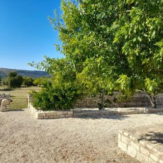 La valle dei carrubi - 2