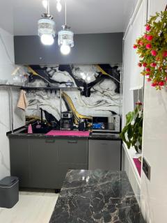 Charm Luxury apartment - Karakol - 3
