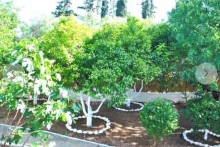 Thalassa studios - 7
