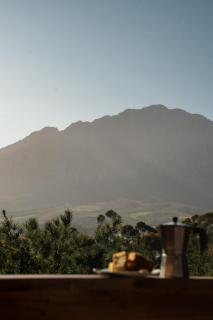 Sunbird Cabin at Vrolikheid Landgoed - Tulbagh - 5