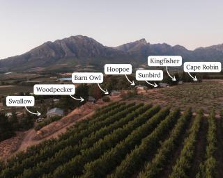 Sunbird Cabin at Vrolikheid Landgoed - Tulbagh - 1
