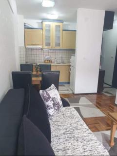 Apartman Delux - Soko Banja - 2