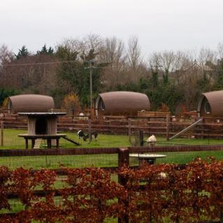 Hidden Acres- Luxury Glamping Pod Mint - 2
