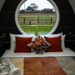 Hidden Acres- Luxury Glamping Pod Mint - Malahide - 1