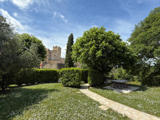 DREAM HOUSE in front of CHATEAU DE BEYNAC in Perigord , Dordogne - 8