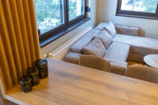 Apartman Zlatiborski Vuk - Zlatibor - 9