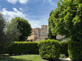 DREAM HOUSE in front of CHATEAU DE BEYNAC in Perigord , Dordogne - Beynac-et-Cazenac - 9