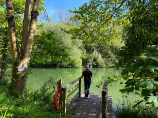 Sunridge Geodome with private Hot tub - 3