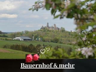 Kleine einzigartige Ferienwohnung auf dem Bauernhof, direkt in der Natur mit Blick auf Schloss Braunfels - Braunfels - 9