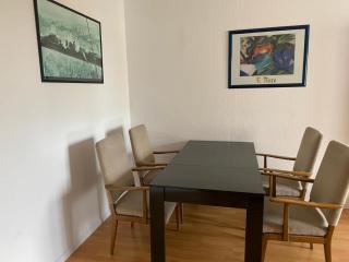 Elb Apartment - Magdeburg - 3