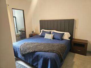 Hermoso Departamento nuevo en Villa de Pozos - San Luis Potosí - 4