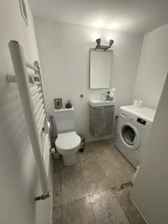 Bucharest Designer Villa - Bukarest - 1