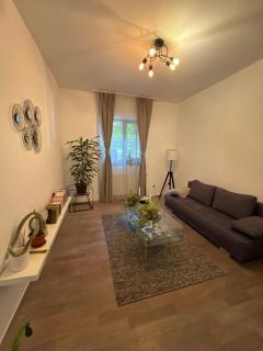 Bucharest Designer Villa - Bukarest - 3