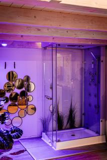 Wellness Suite mit Whirlpool und Sauna - Ahlen - 3