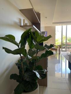Bachelor apartment in Sandton City - Joanesburgo - 9
