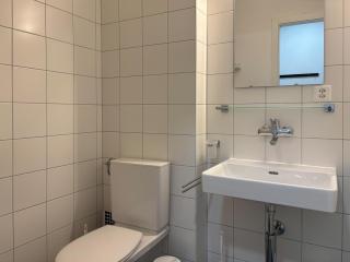 Bright flat in Sion - Sion - 8
