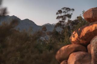 Barn Owl Cabin at Vrolikheid Landgoed - Tulbagh - 6