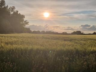 Cranfield Retreat & Glamping & Hobbit House - Long Melford - 1