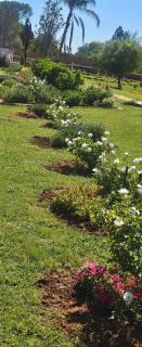 Remi's B & B and SPA - Pretoria - 8