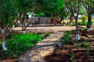 Remi's B & B and SPA - Pretoria - 5