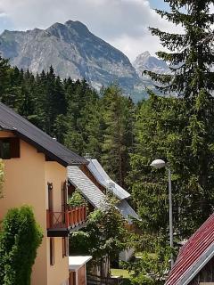 Guest House Kalpa - Žabljak - 3
