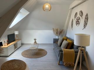 SB Bed and Breakfast Scandinave - Charleville-Mézières - 6