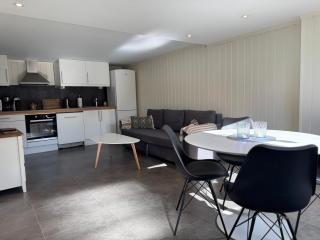 Pool & Sauna Apartment - Porsgrunn - 0