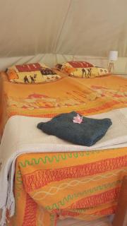 Tente Safari équipée - 6