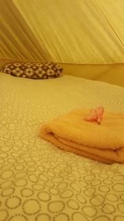 Tente Safari équipée - 4