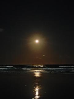 Apartamento Sol de Maraú - Barra Grande Beach Stay - 2