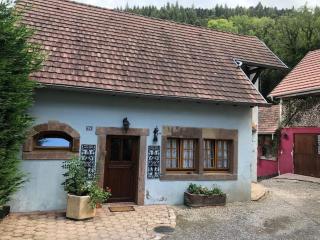 Gîte nature 6 personnes - Rimbach-près-Guebwiller - 5