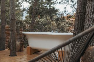 Woodpecker Cabin at Vrolikheid Landgoed - Tulbagh - 9