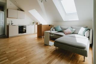 Modern Penthouse with Lake View - Viljandi - 8
