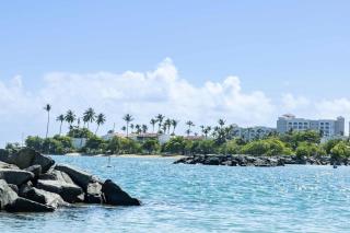Renovated 3 BR House in Dorado del Mar - Dorado - 7