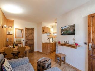 Joli appartement rénové avec balcon proche zone piétonne - FR-1-343-164 - Chamonix-Mont-Blanc - 6