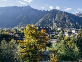 Joli appartement rénové avec balcon proche zone piétonne - FR-1-343-164 - Chamonix-Mont-Blanc - 2