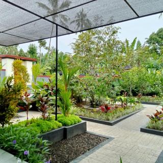 PONDOK KAK SEKEH Special guesthouse and stay in pure Balinese compound - 9