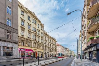 Baroque Grand Apartment XXL - City Center - 160 m2 - 7