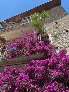 B&B Dhafna - Civita - 5