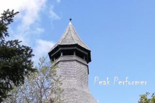 Mental fit, Schwarzwald - 2