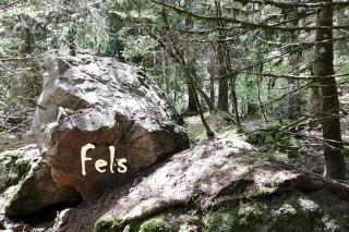 Mental fit, Schwarzwald - Todtmoos - 2